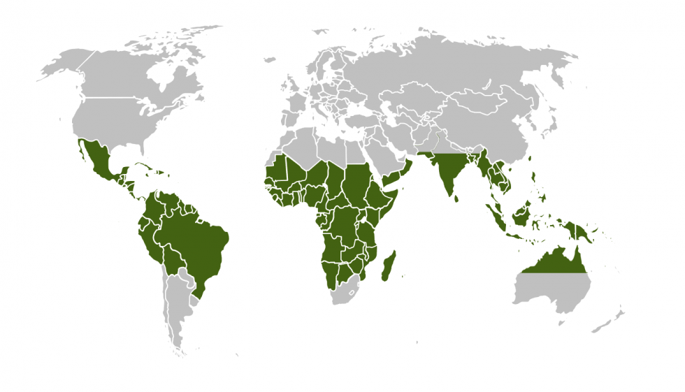 Definition of the tropics Tropitecture